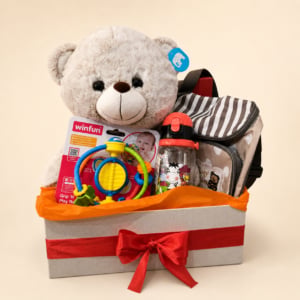 Cesta de Regalo para Bebé — Peluche y Bolso Baby Mom